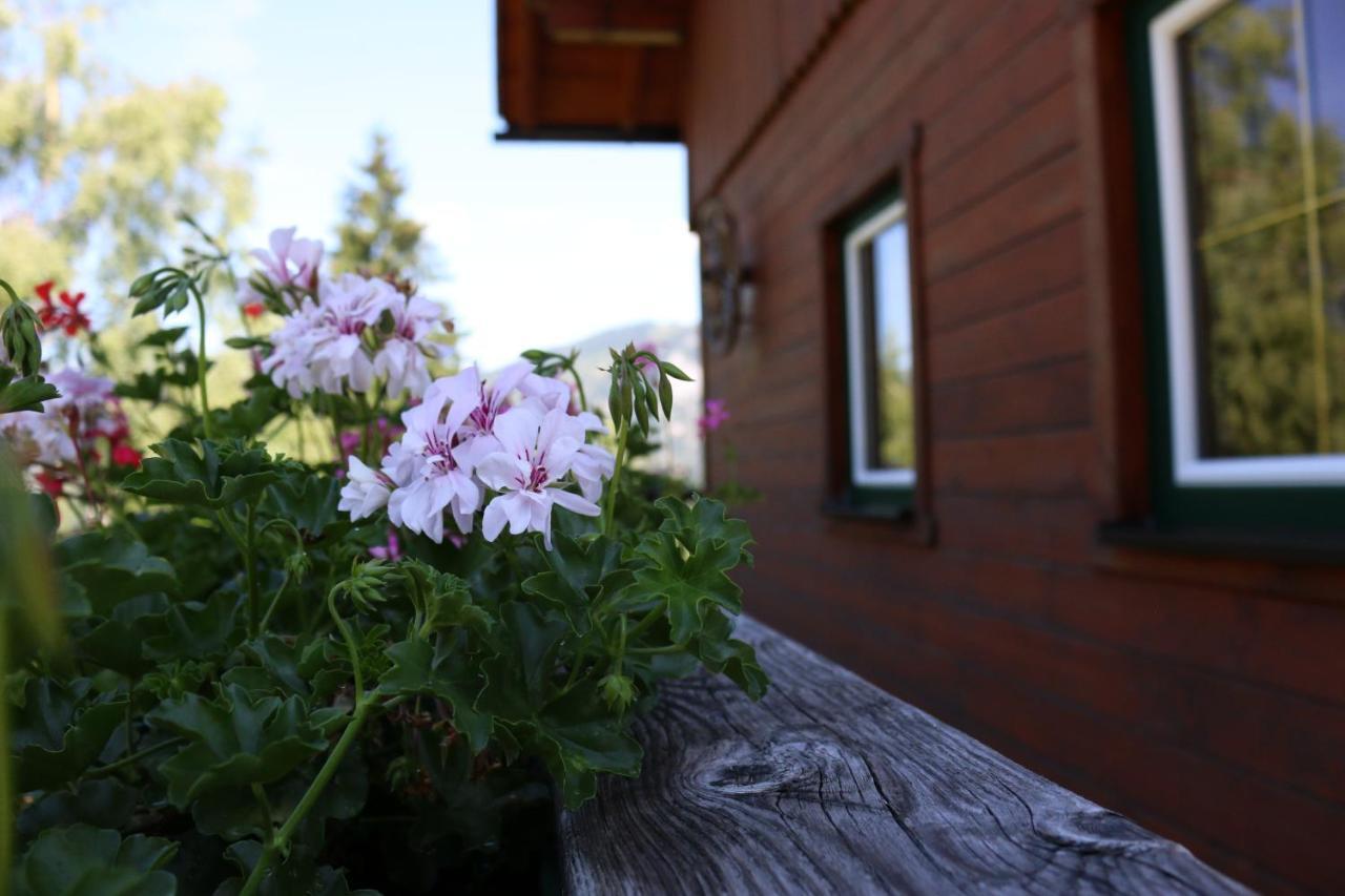 Ferienhaus Am Muehlbach Gams bei Hieflau Экстерьер фото